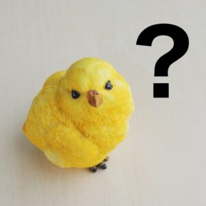 ヒヨコとハテナ