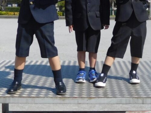 小学生の靴